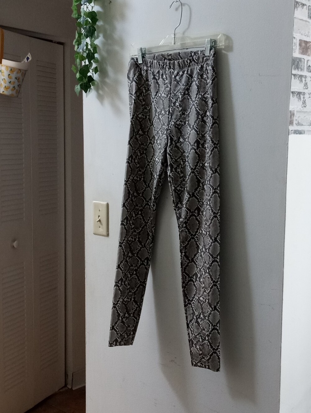 H&M Snake Print Gray Stretch Leggings
